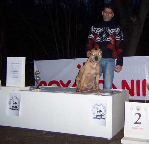 wwwPicture-090.jpg