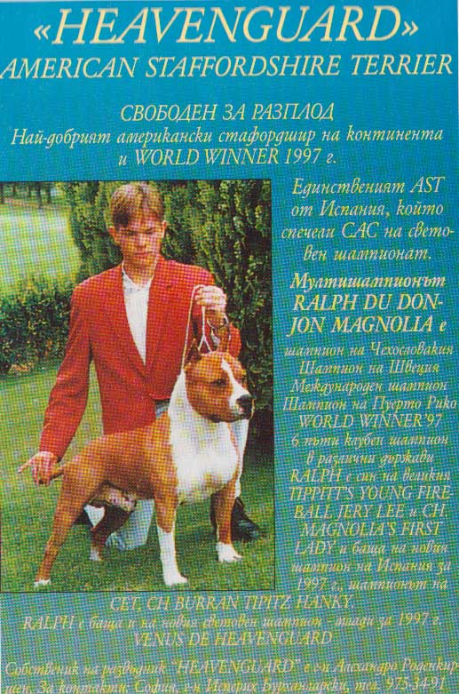 wwwUntitled-6.jpg