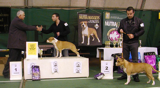 PB200228.jpg