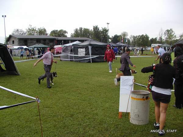 P8290140.JPG