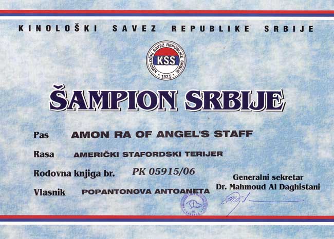 CH_Sertifikat_SER_AMON_RA.jpg