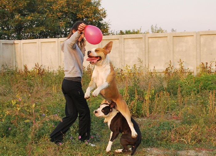 6.JPG