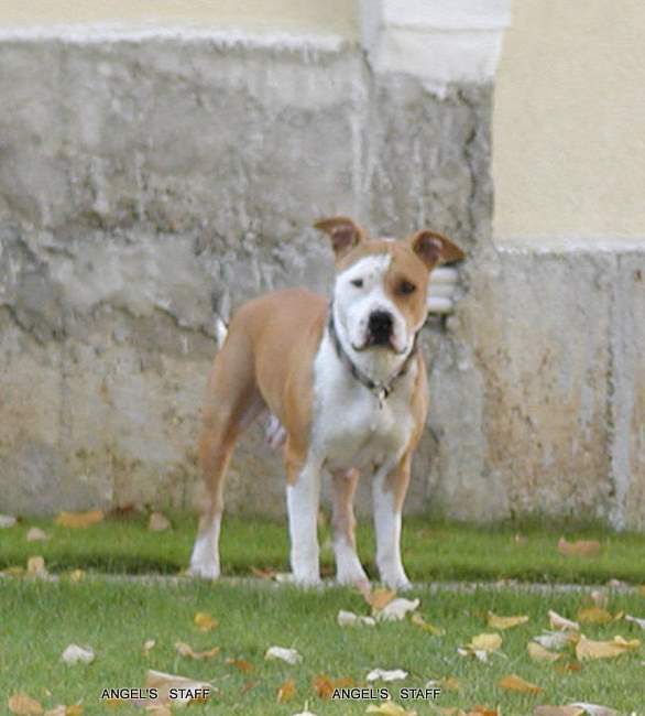 www_PA220278.jpg