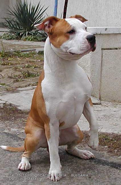 1_PB150094.JPG