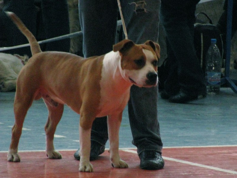 IMG_7396.JPG