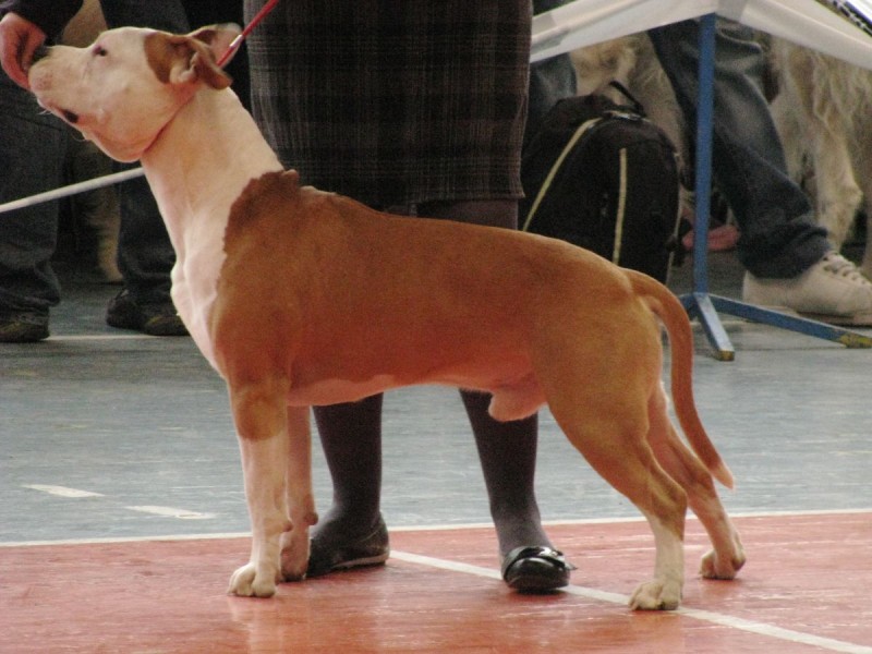 IMG_7375.JPG