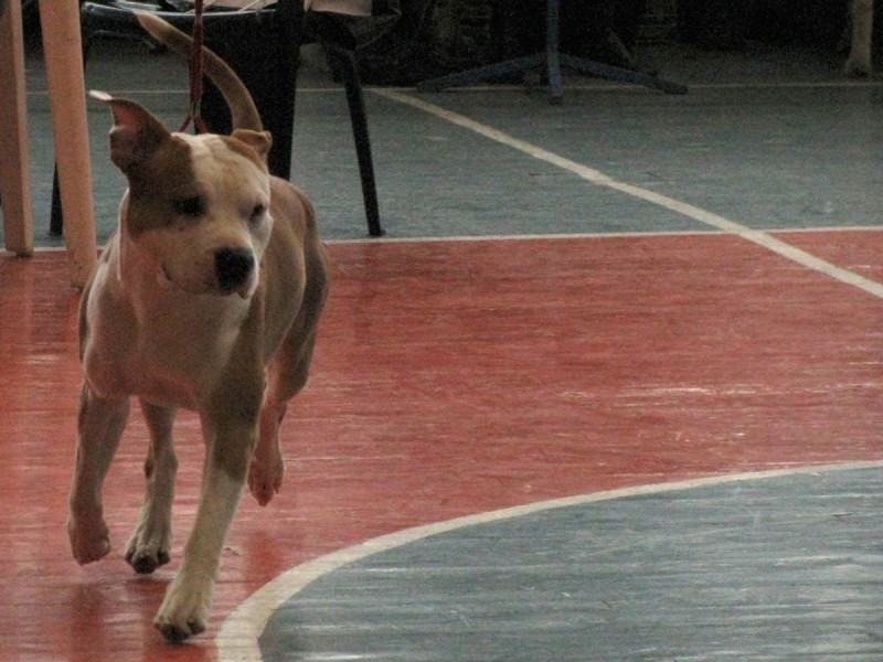 IMG_7372.JPG