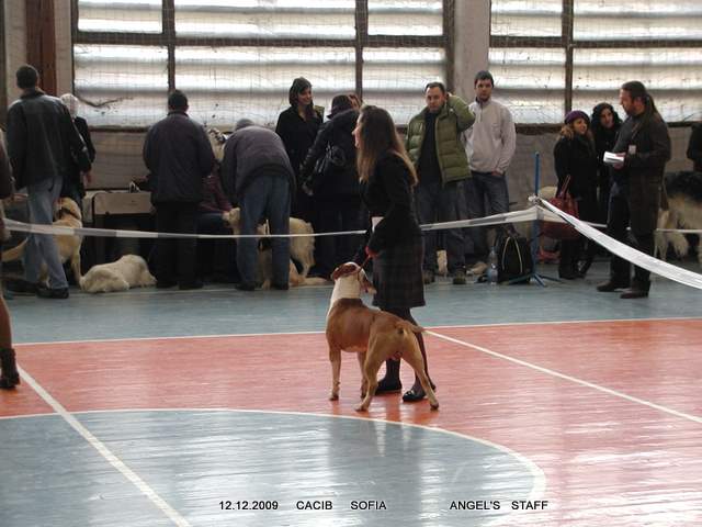 PC120250.JPG