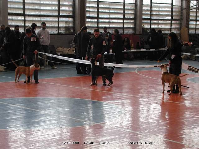 PC120280.JPG