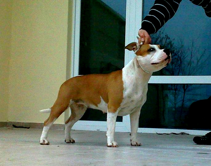 16122009128333.jpg