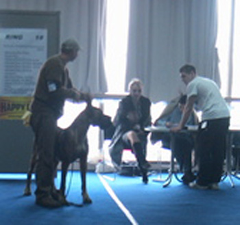 img3352.jpg