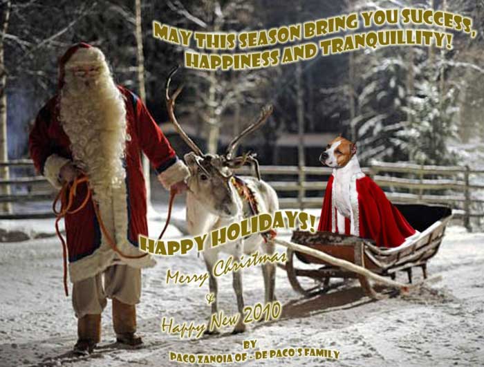 Season_s_Greetings_.jpg