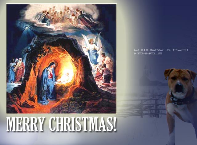 MerryChristmas.jpg