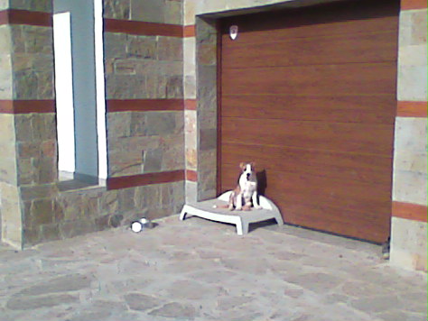 Image009.jpg