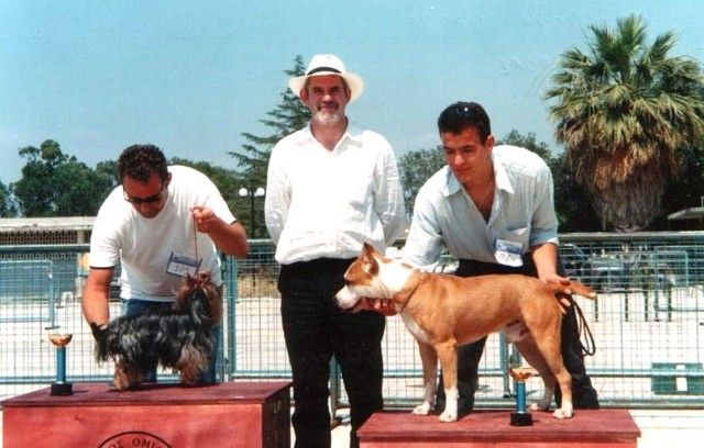 2006 GR. Ch. Drago {Bullet vom Pelia x Mayri}.jpg