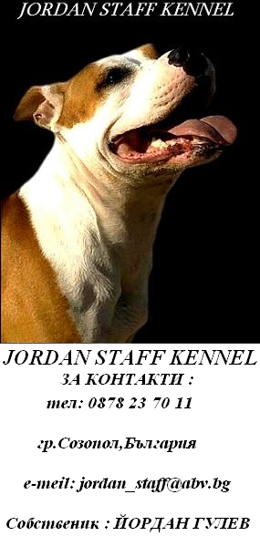 Jordan Staff kennel АСТ.JPG