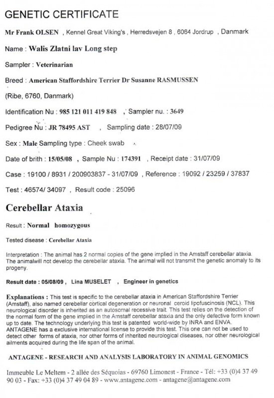 GENETIC-CERTIFICATE--WALIS.jpg