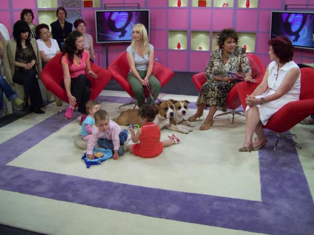 Bul. National TV.jpg