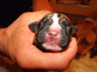 p_341186_thumb.jpg