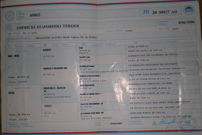 p_441205.jpg