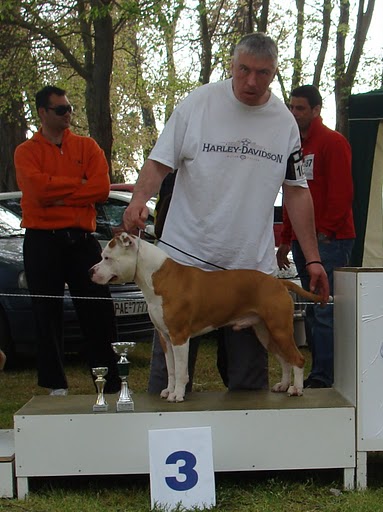 DSC00675.JPG