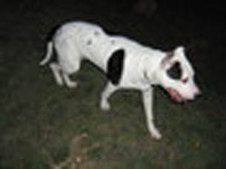 1IMG_0359.jpg