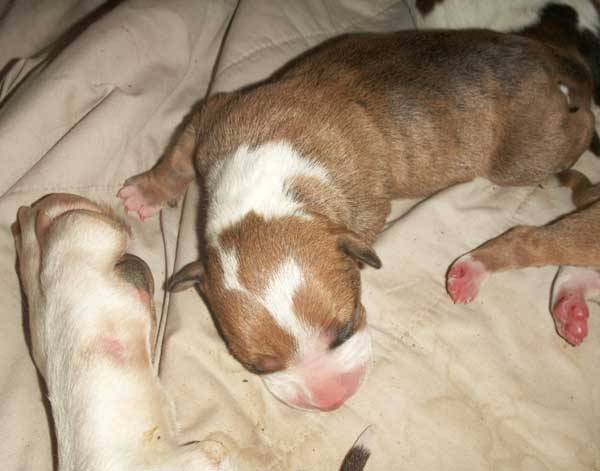 PICT0917.jpg