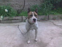 83d64430_0040001175300_m.jpg