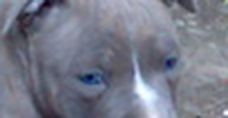 q17042008236.jpg