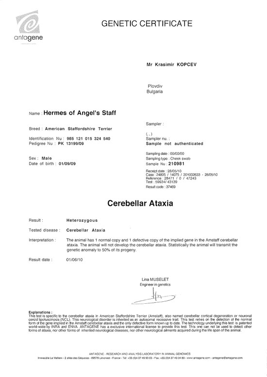 HERMES OF ANGEL’S STAF.jpg