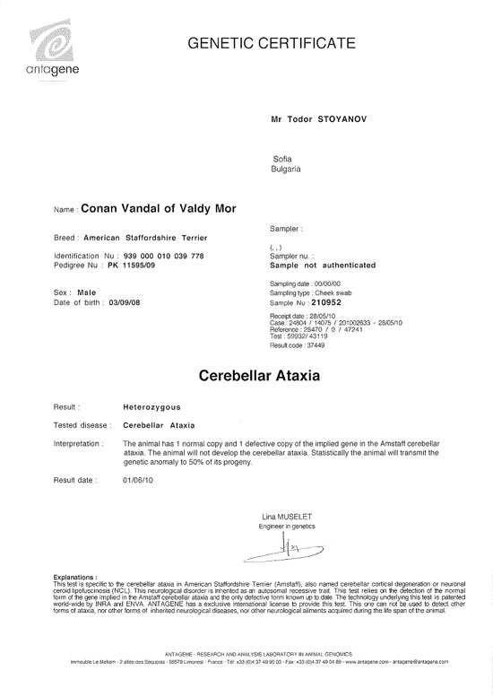 CONAN  VANDAL OF VALDY-M.jpg