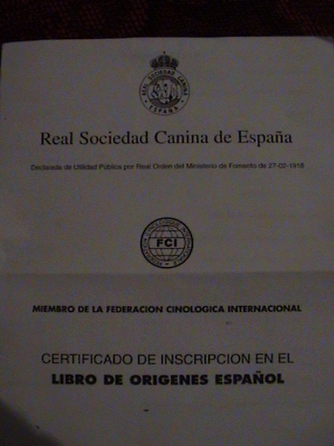 p_2467480.jpg