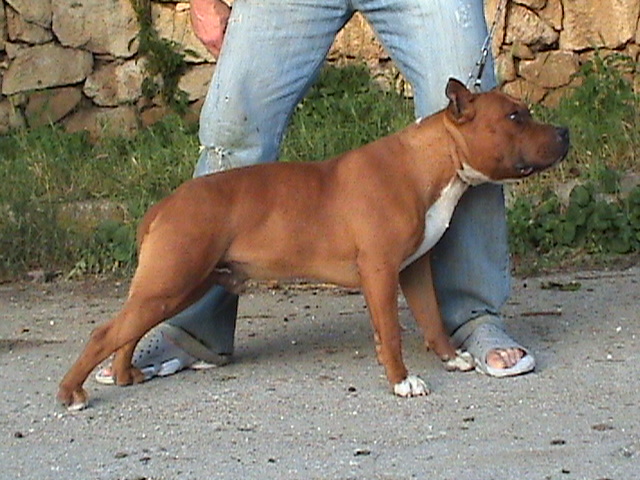 p_2467479.jpg