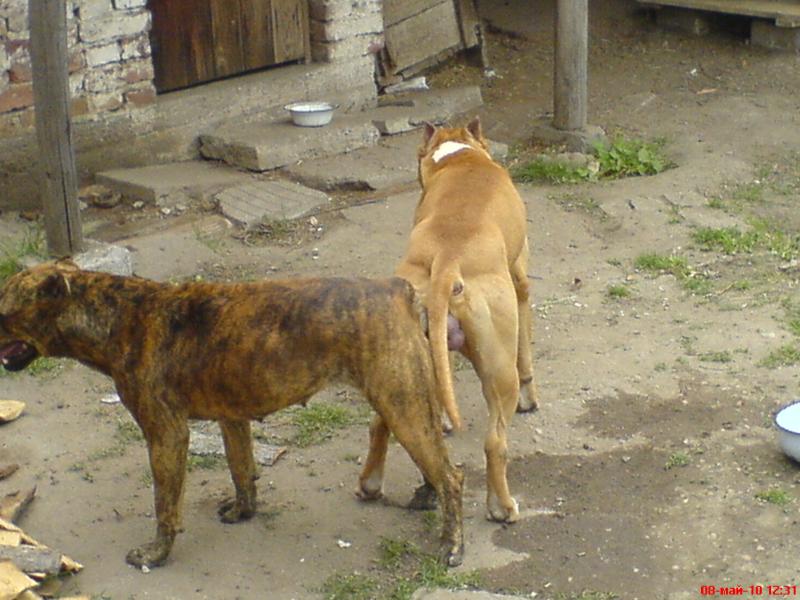 p_3999860.jpg