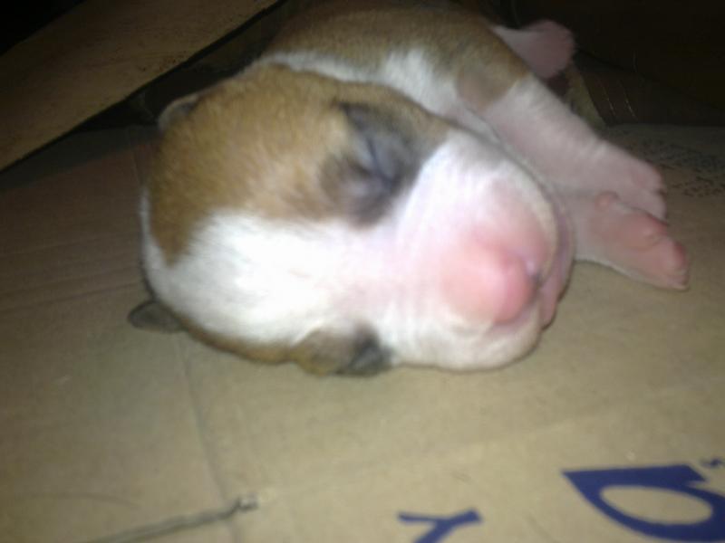 p_4757109.jpg