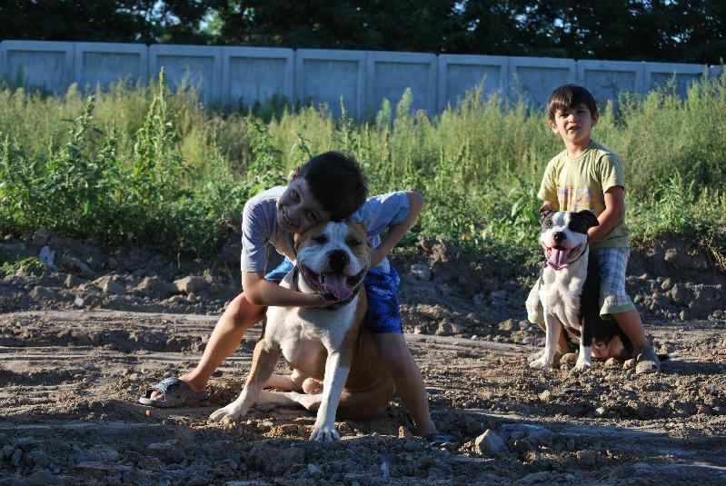 DSC_8560.jpg
