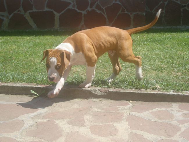DSC02425.JPG