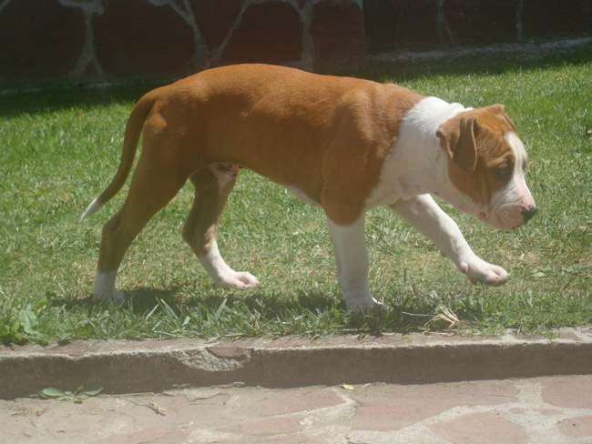 DSC02434.JPG