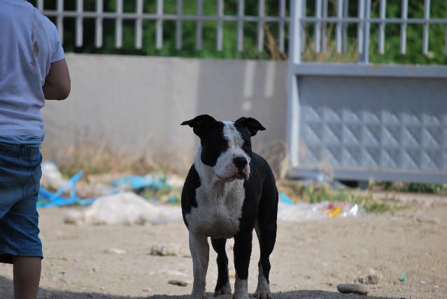 DSC_7238.jpg
