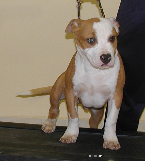 PA050008.jpg