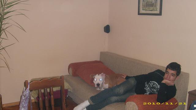 Picture 007.jpg