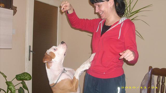 Picture 018.jpg