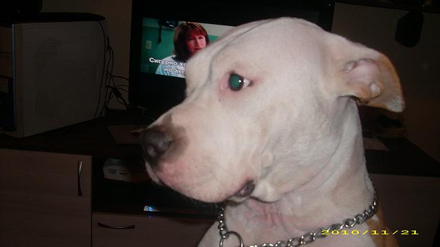 Picture 012.jpg