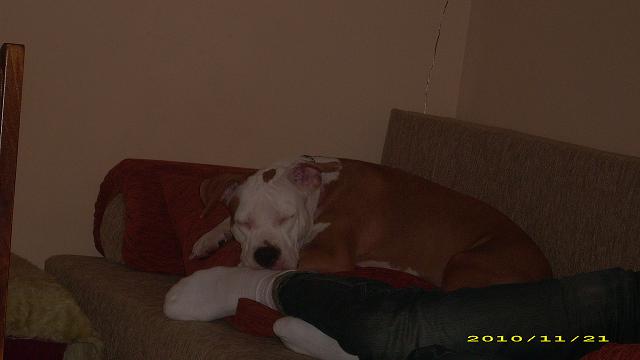 Picture 009.jpg