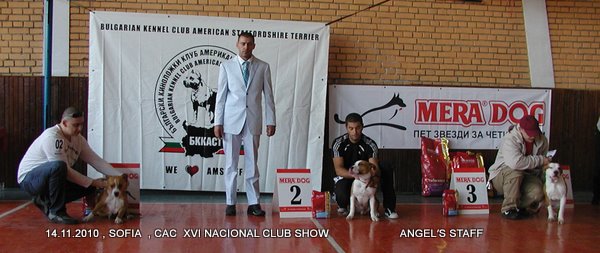 1_PB140018.jpg
