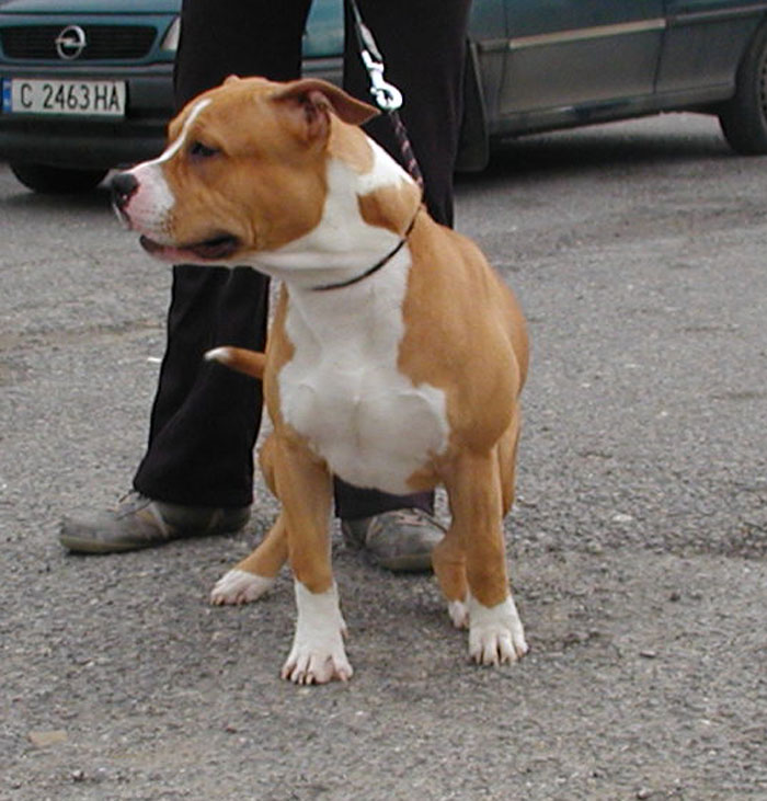 PC070613.jpg