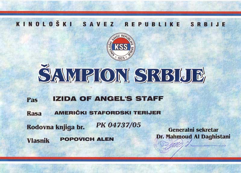 800_Sertificat_CH_SER_IZIDA.jpg