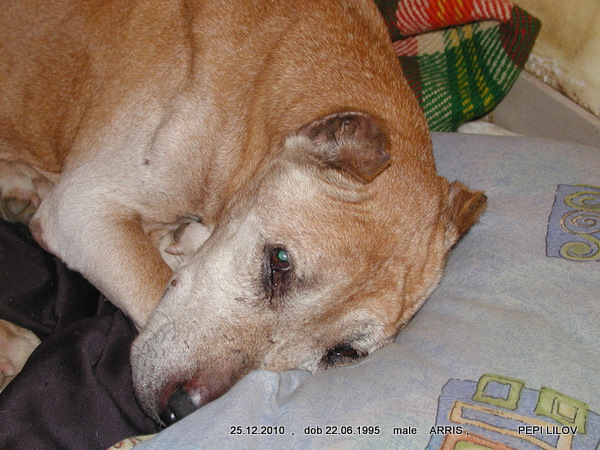 P1250834.JPG