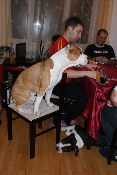 DSC00587.jpg