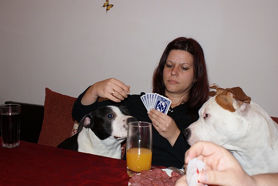 DSC00570.jpg